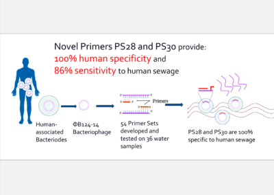 Graphical Abstract